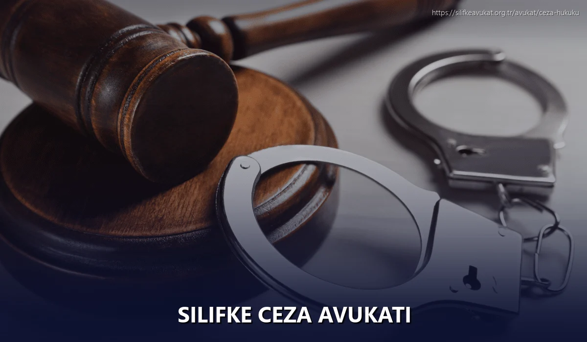 Silifke Ceza Avukatı